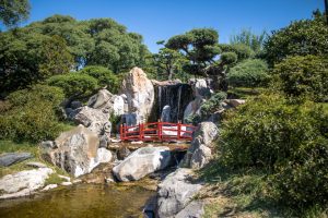 L’élégance silencieuse des jardins Zen